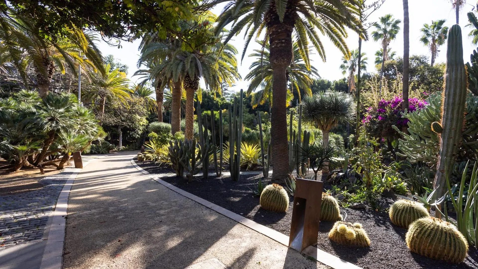 Wanderlust Hostel Santa Cruz de Tenerife İspanya